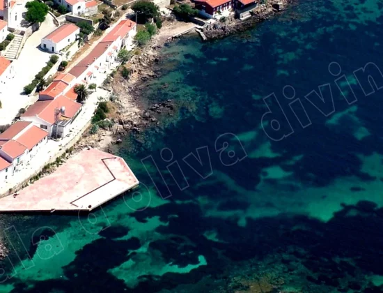 Diving Cala d’Oliva