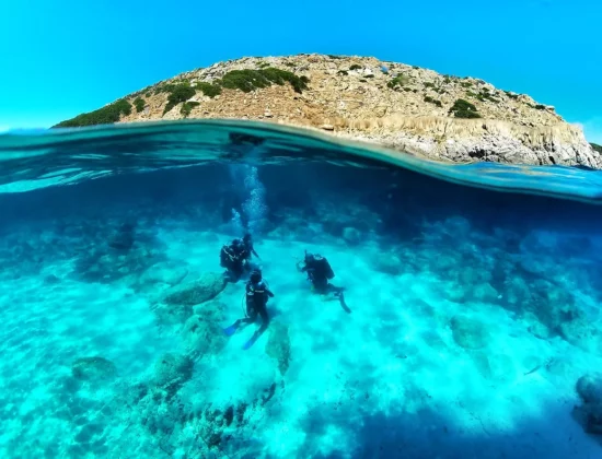 Diving Cala d’Oliva