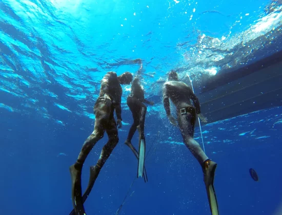 Diving Cala d’Oliva