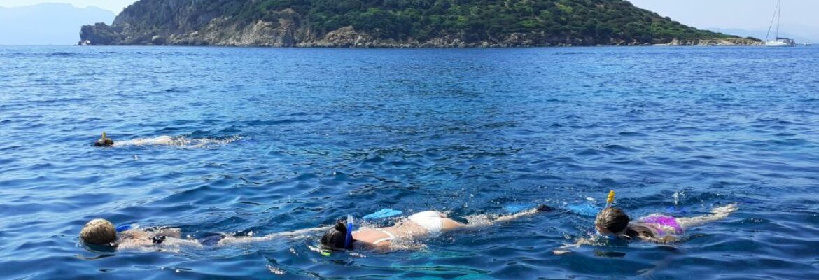 Osservazione di Delfini e Snorkeling in Gommone ad Olbia