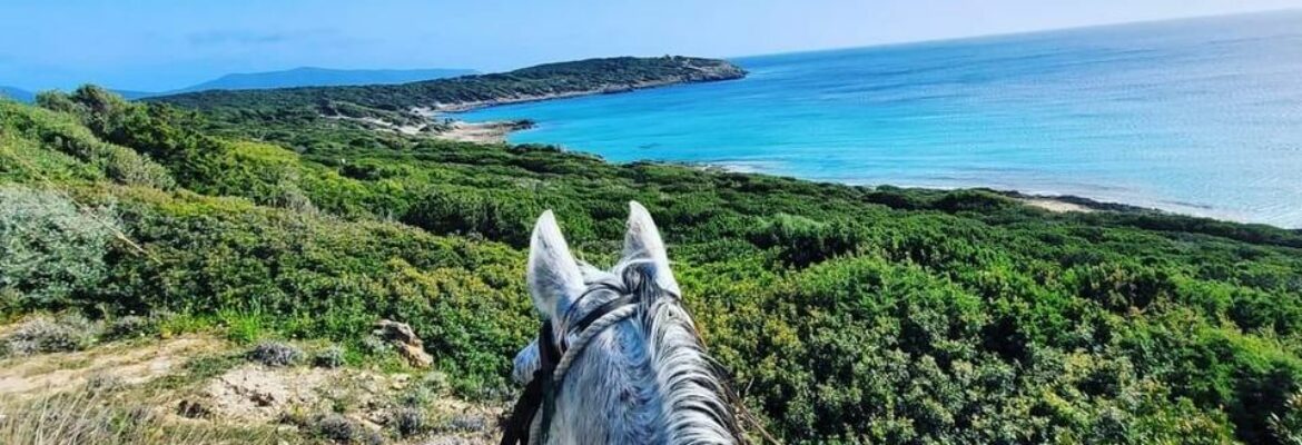 Escursioni a cavallo sud Sardegna