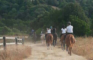 Sognando il Gran Canyon a Cavallo Arzachena