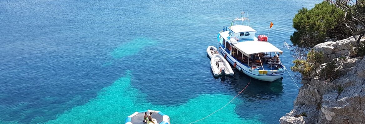 Nautisub Daily Boat Tour & Diving