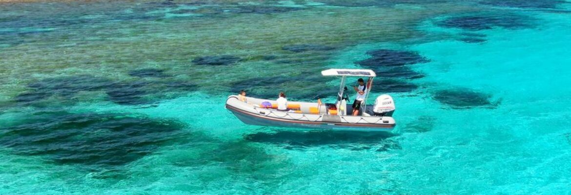 Escursioni in barca all'Asinara