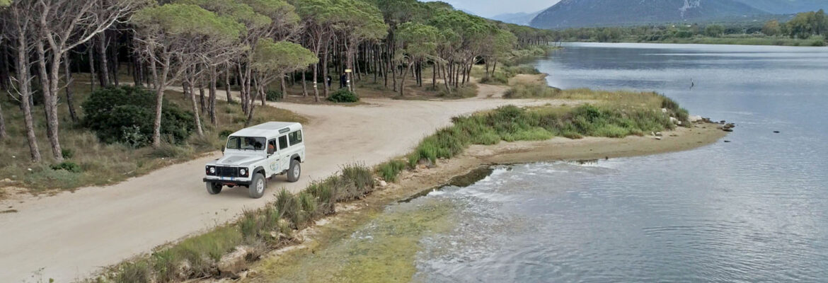 Esperienza in 4×4 a Orosei con cena in vigna