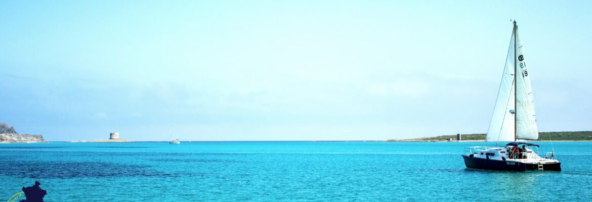 Asinara in Catamarano