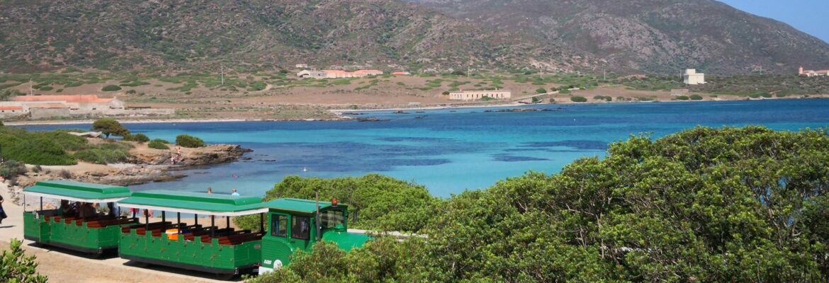 Visita dell'Asinara in trenino