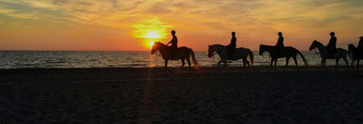 Passeggiata a cavallo sulla spiaggia