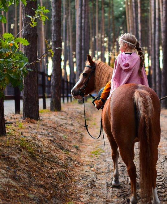 Charming little girl dressed like a princess rides a horse around the autumn forest